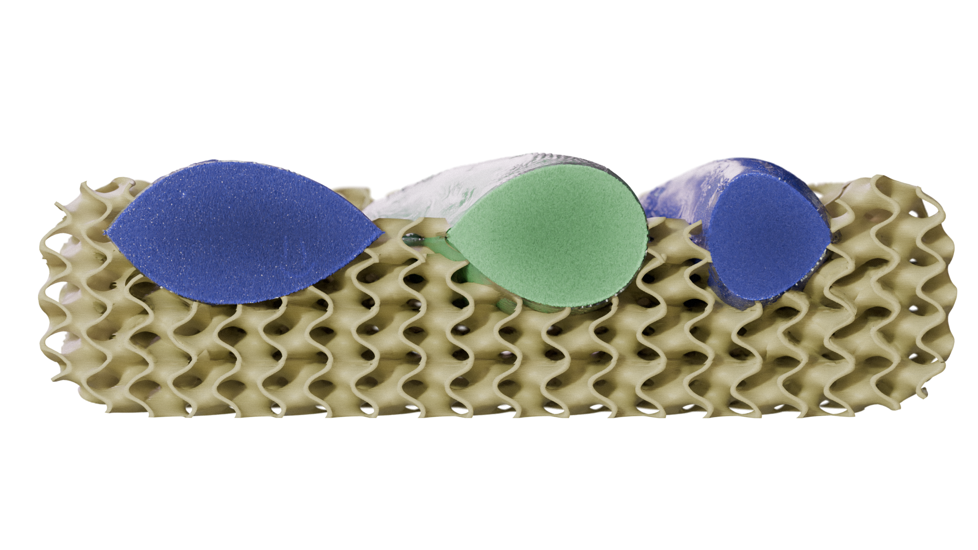 Crosssection.png