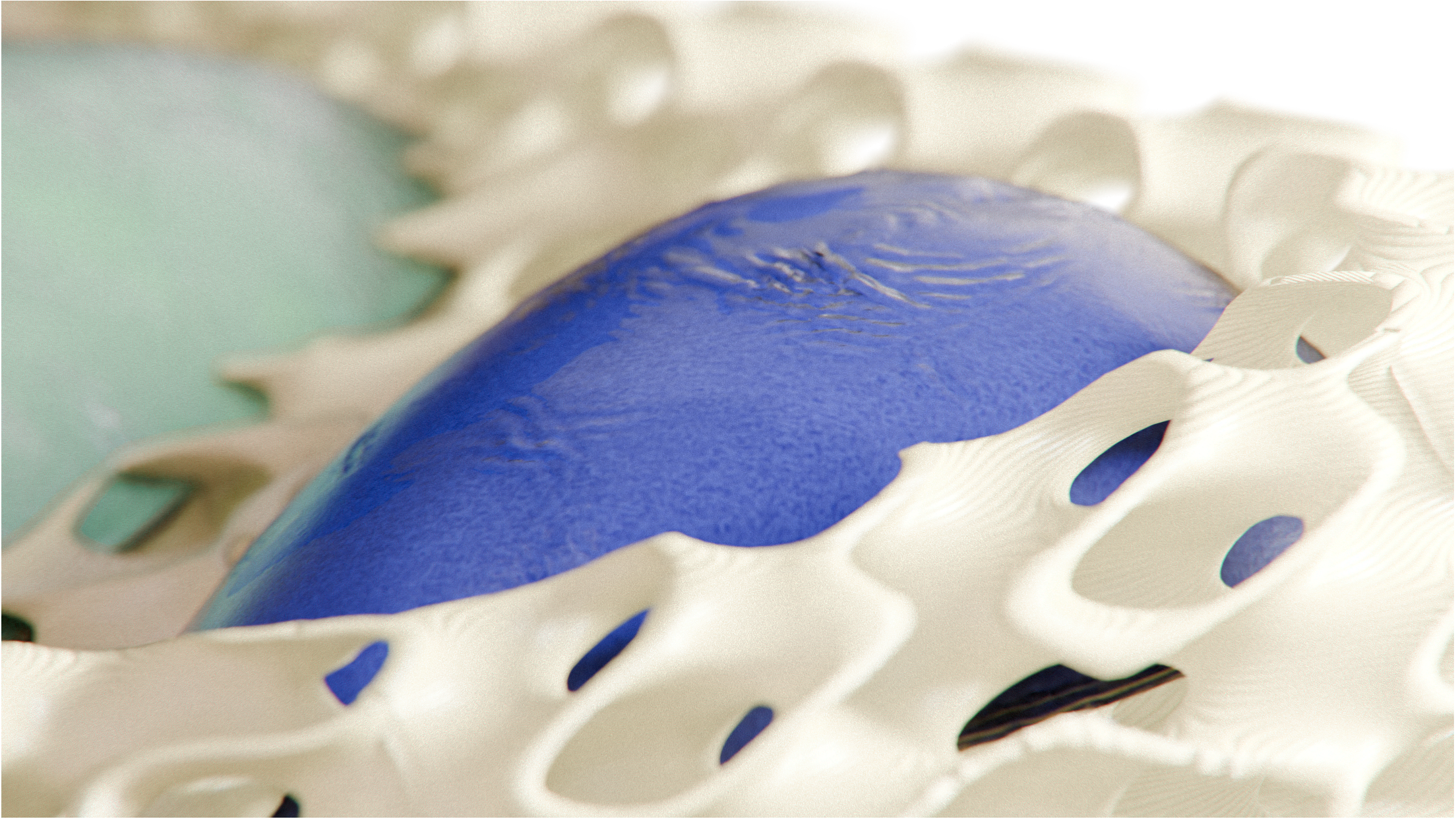 SUPERCloseup2.png