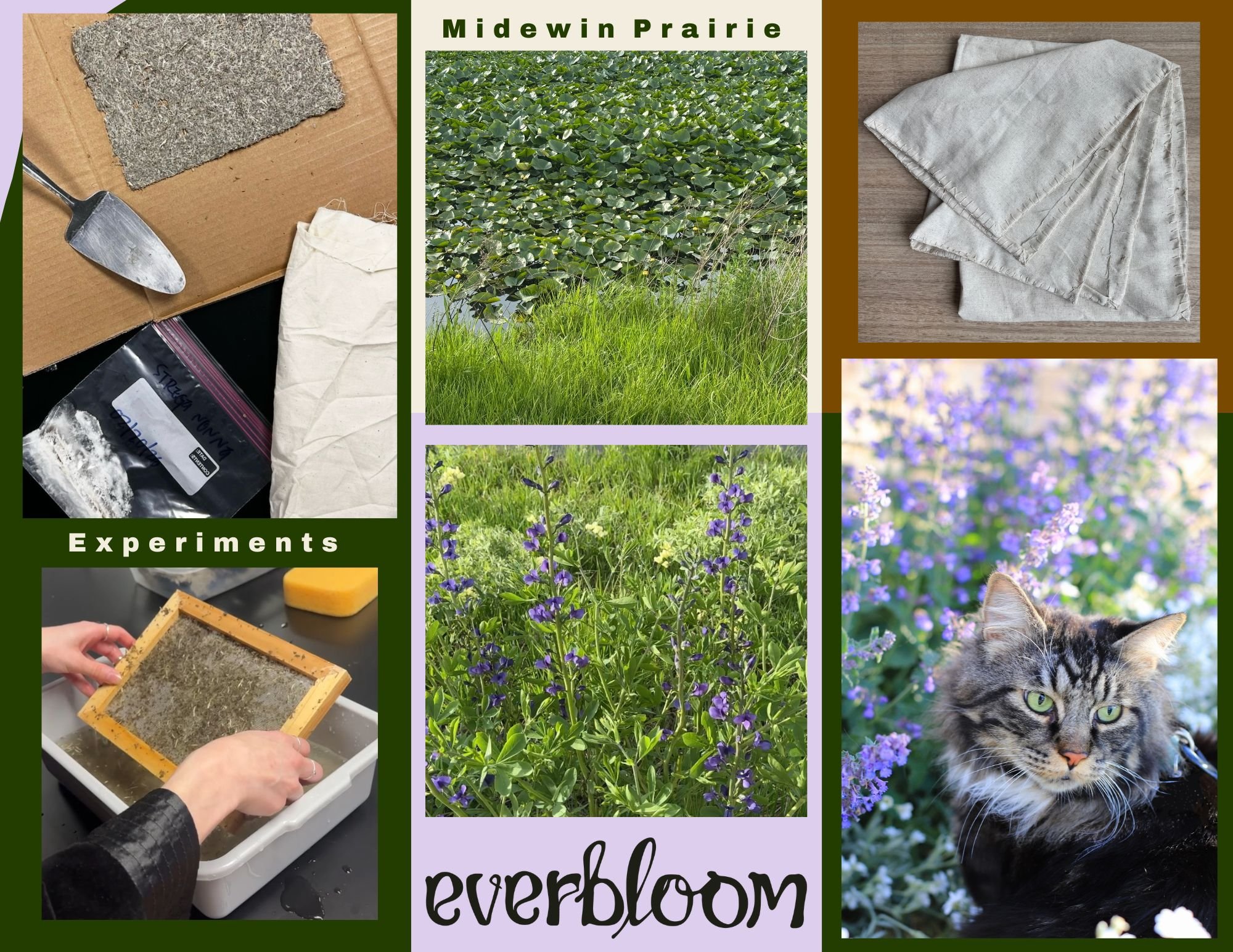 Everbloom_Documentation.JPG