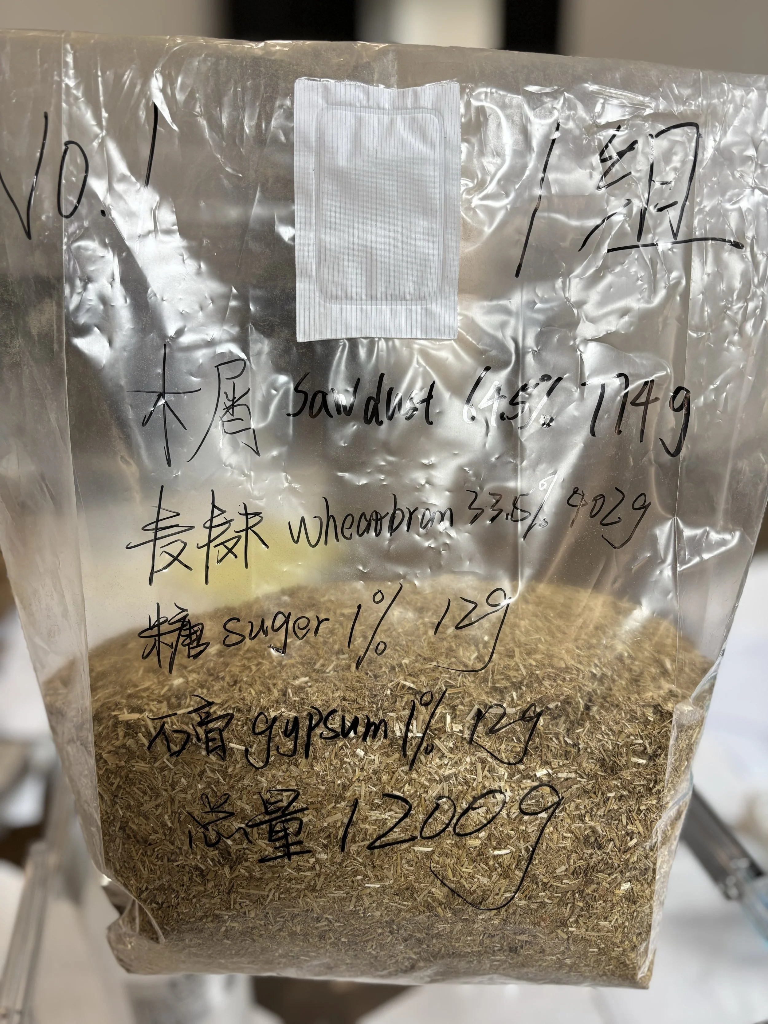 菌丝图原料图.jpg