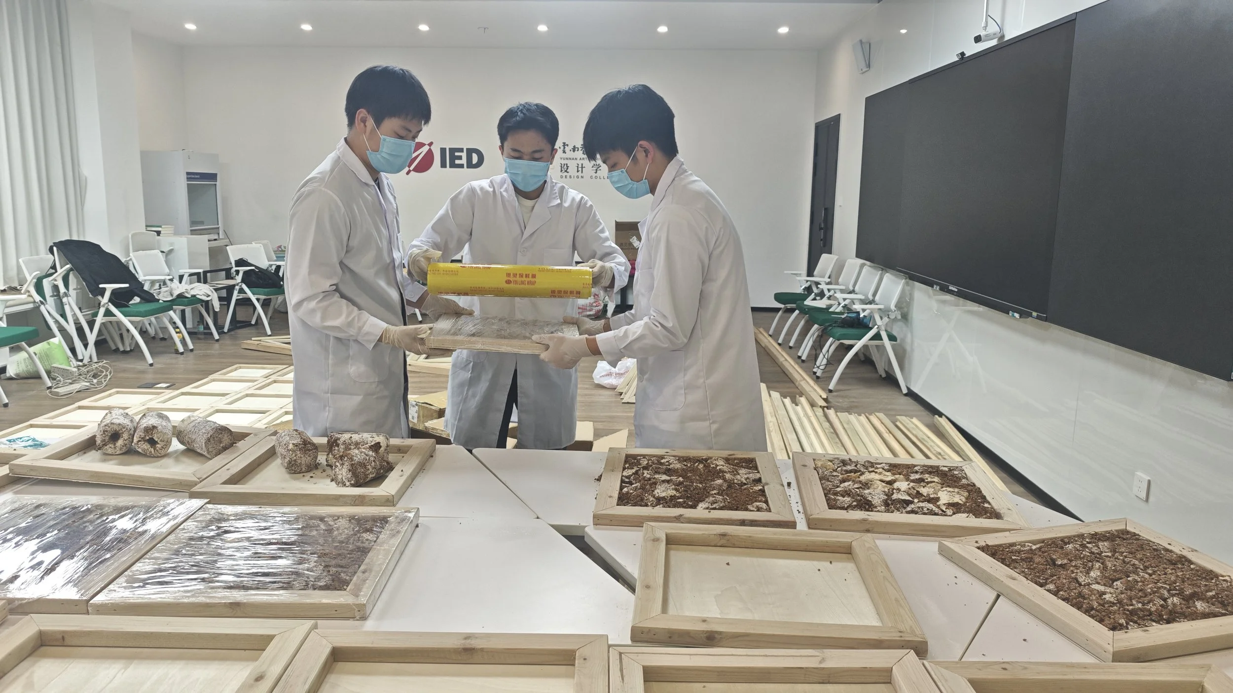 菌丝填充图.jpg
