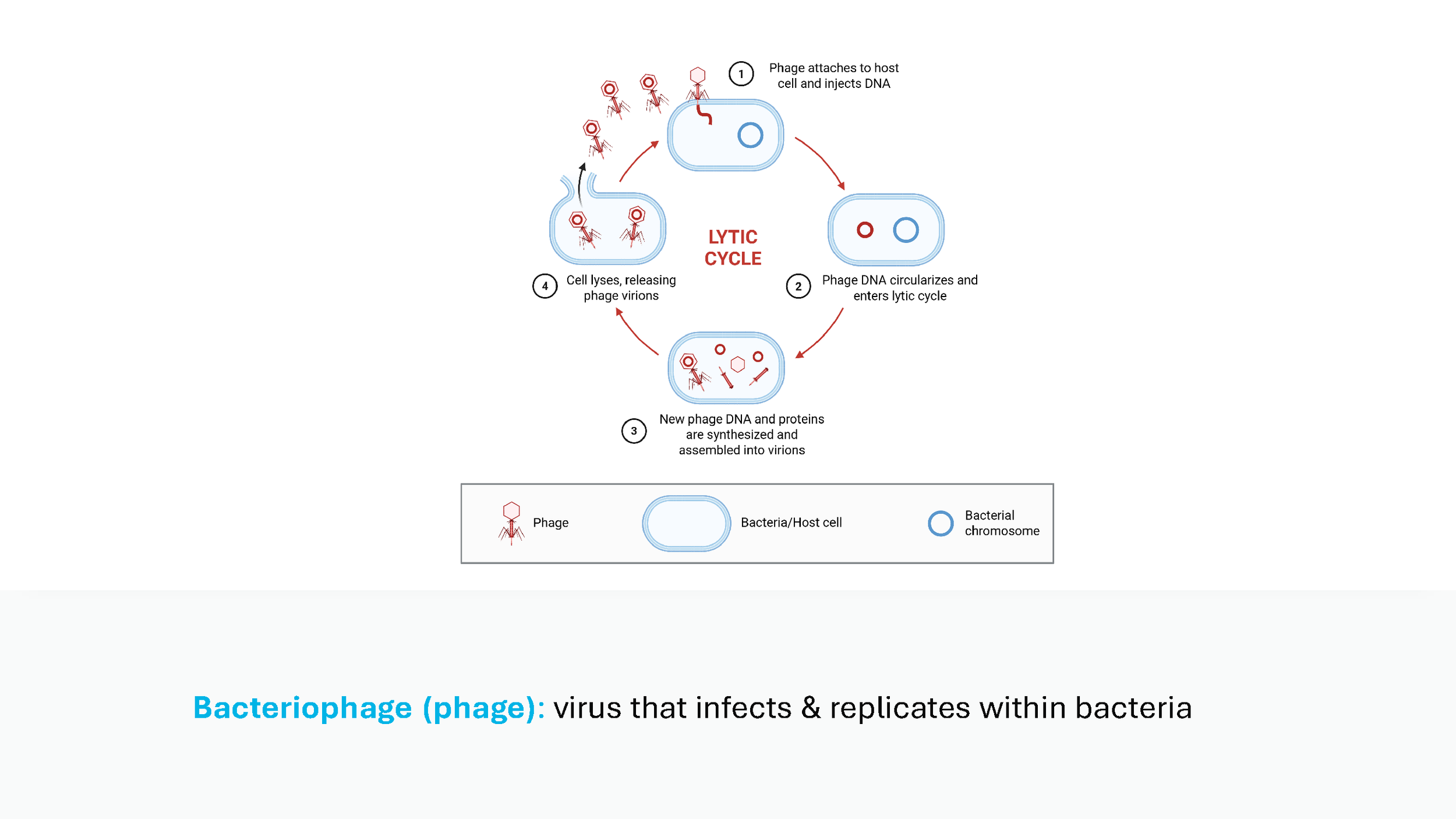 Final_Review_Slides.Updated.5.15_Page_03.png