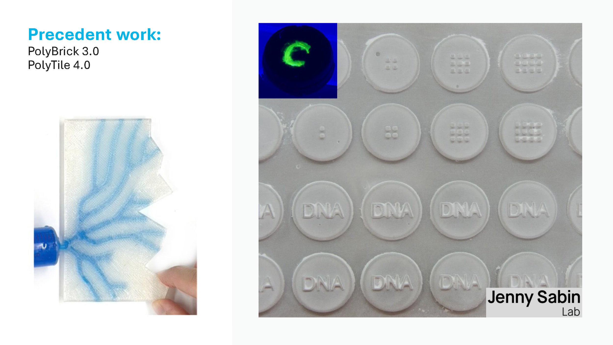 Final_Review_Slides.Updated.5.15_Page_11.png