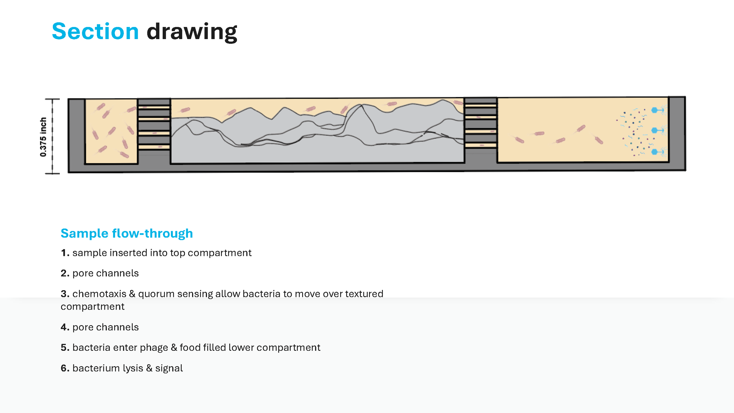 Final_Review_Slides.Updated.5.15_Page_16.png