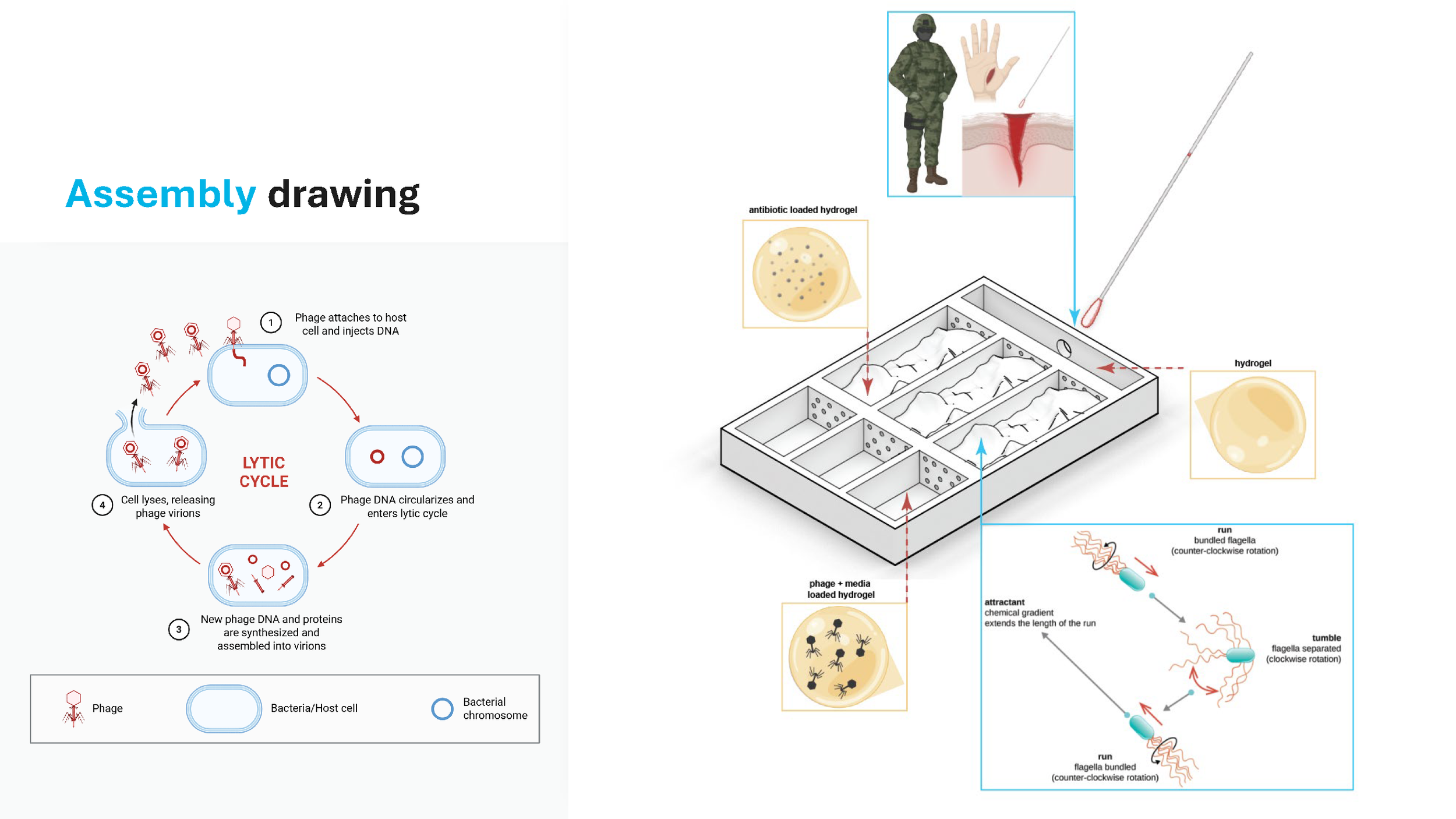Final_Review_Slides.Updated.5.15_Page_17.png