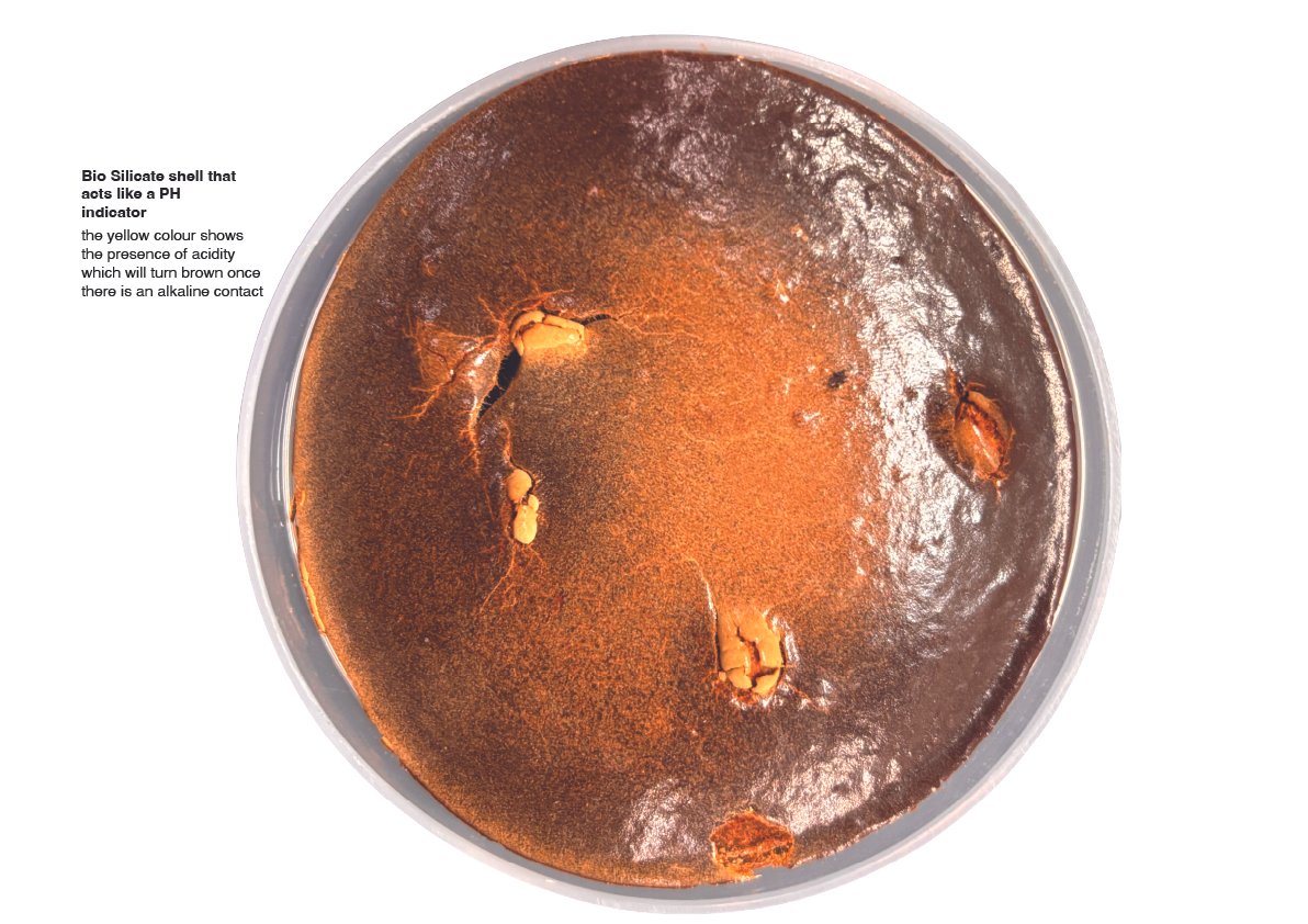 bio-silicate.jpg