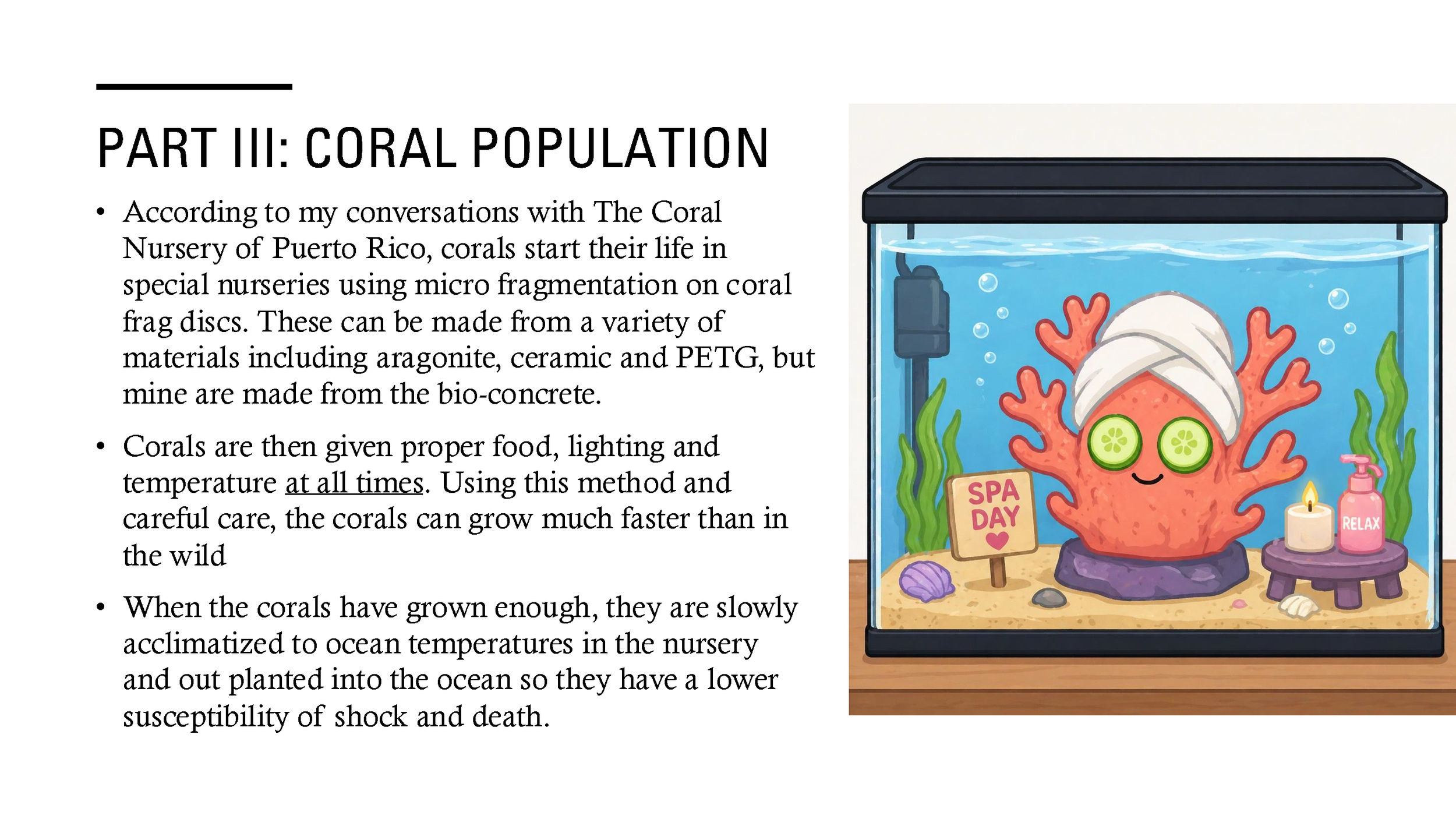 COSTA PR - Devin Ramirez_Page_11.png
