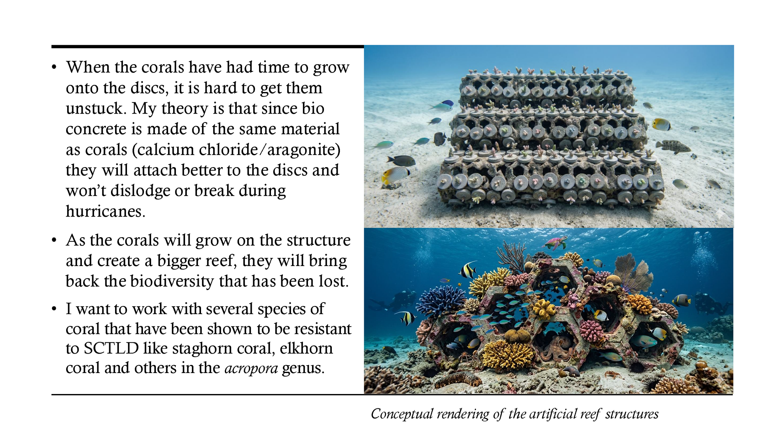 COSTA PR - Devin Ramirez_Page_12.png