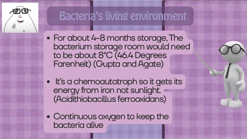 1785316247389-c506b069-ac2f-4620-a7dc-be22972b67ac Bacteria - Pinck P_8.jpg
