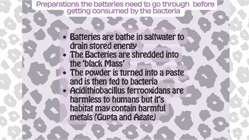 1785316247389-c506b069-ac2f-4620-a7dc-be22972b67ac Bacteria - Pinck P_10.jpg