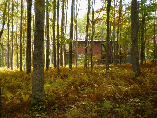House6.jpg