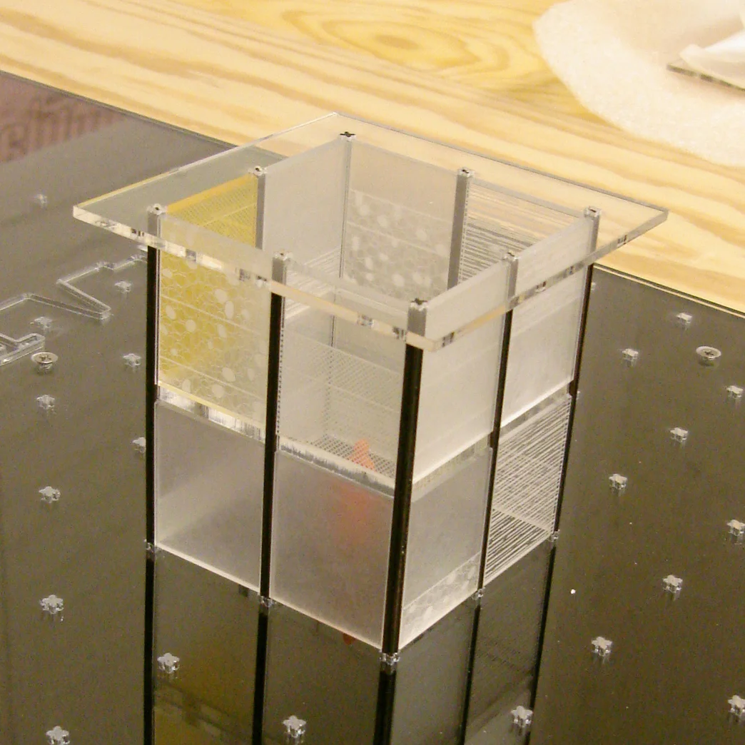 Step 6