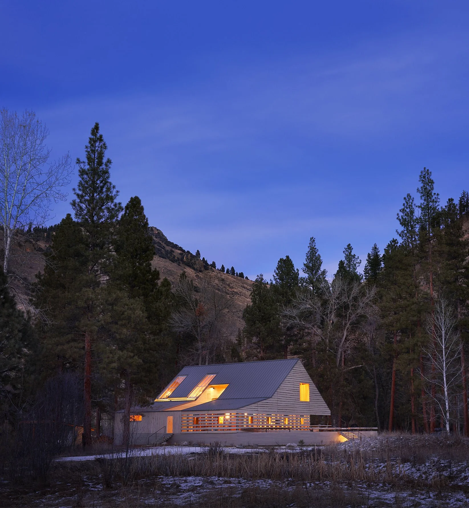 Silhouette House cropped.jpeg