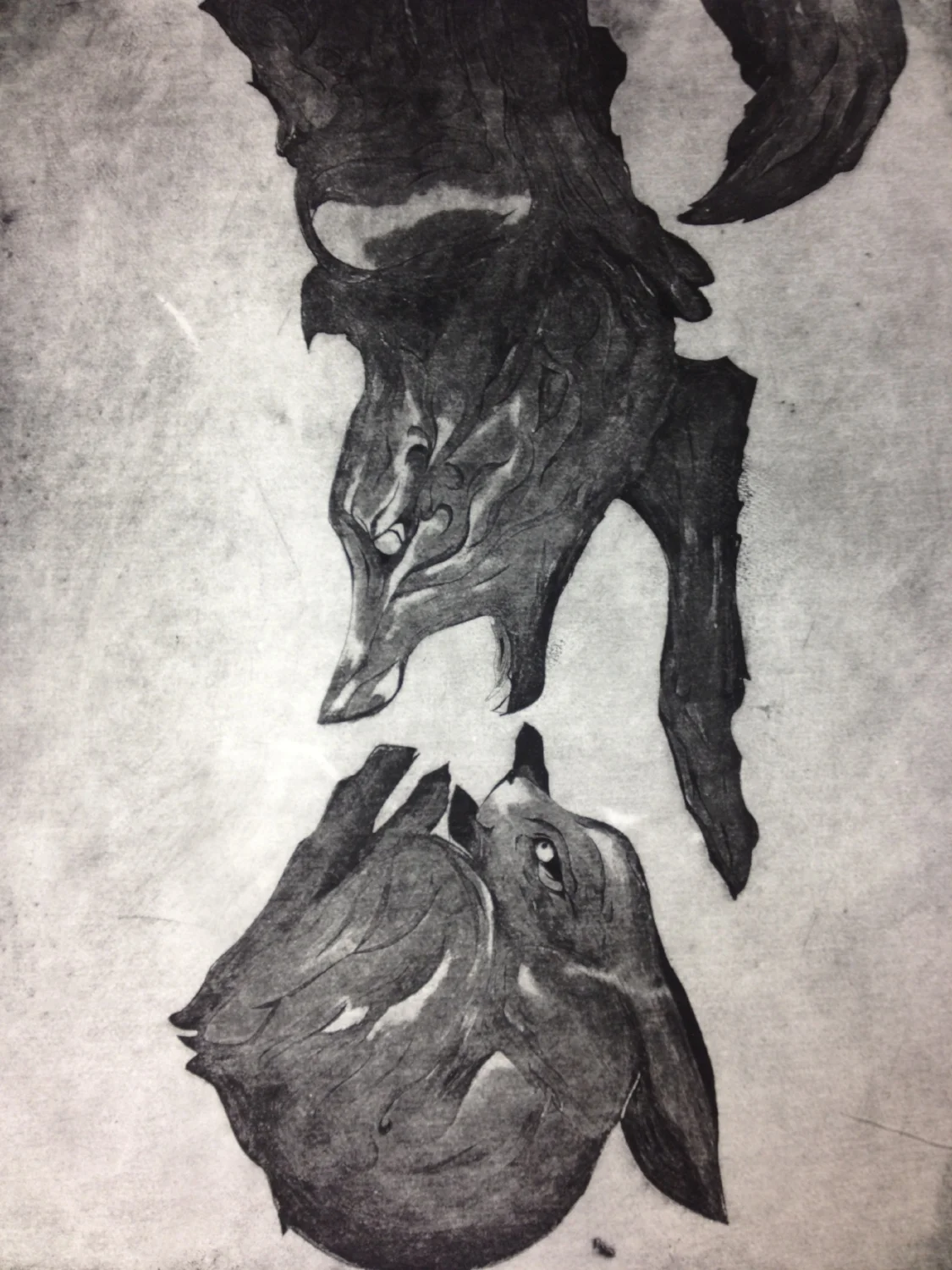 Coyote & Rabbit