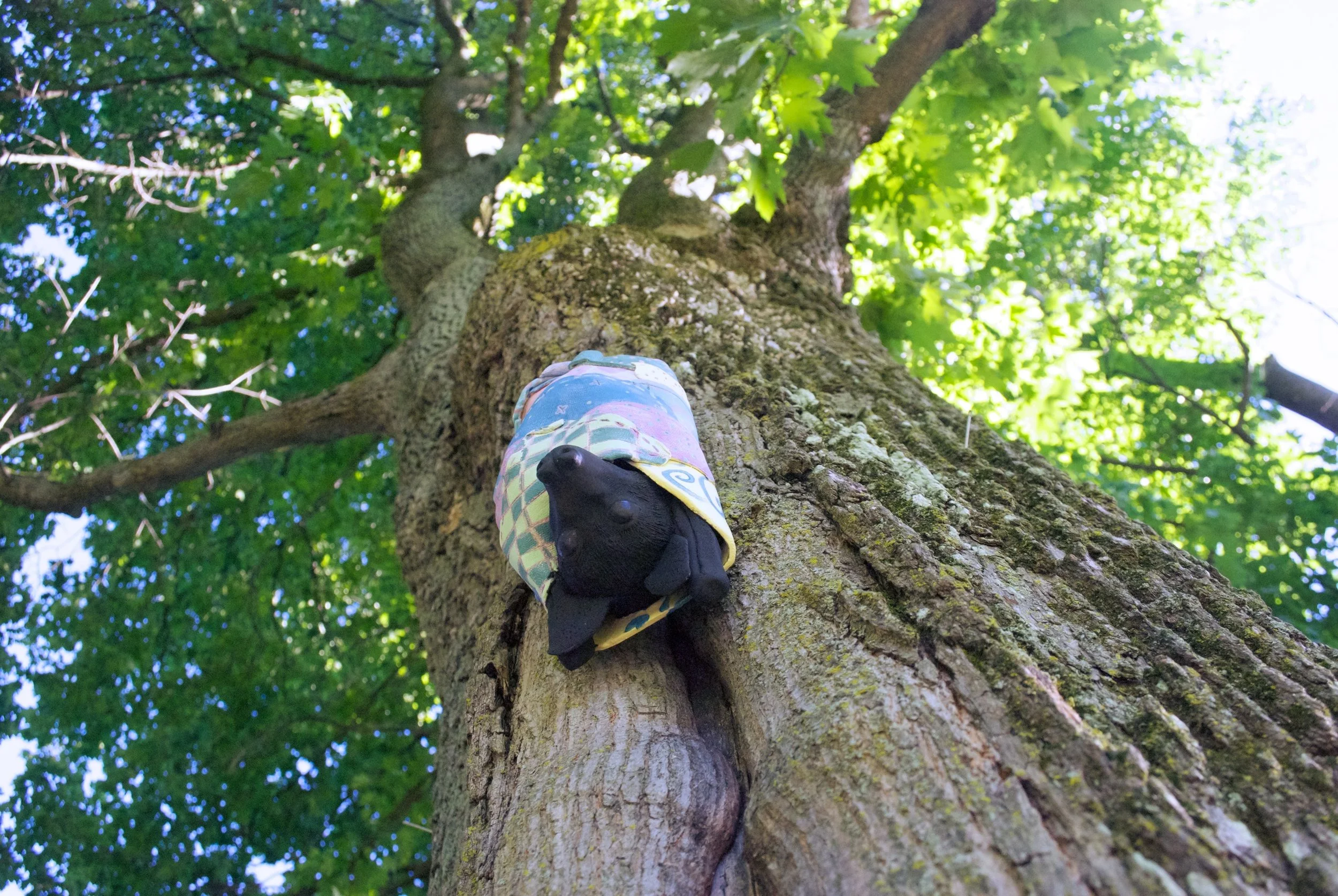 DSC_0062.jpg
