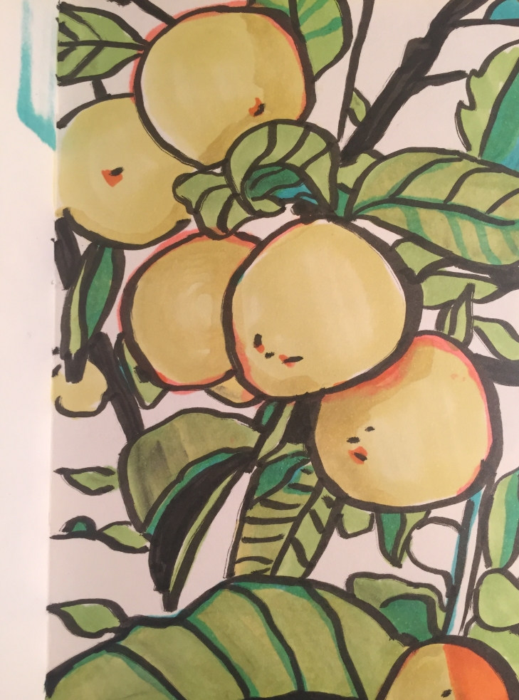 There are many lemon trees in Redwood City