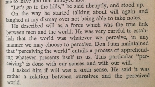 carlos castaneda a separate reality excerpt 1 go to the hills.png