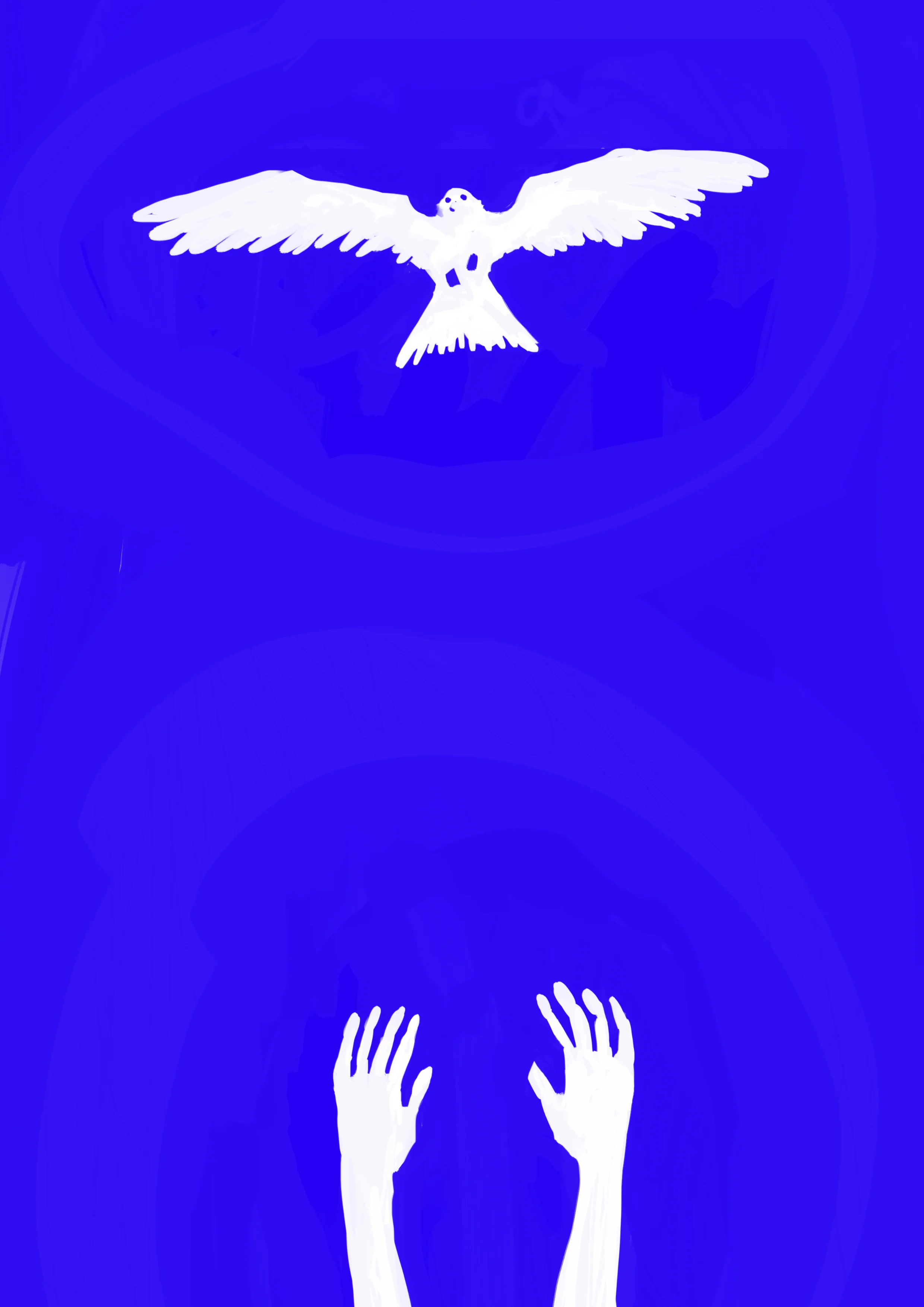 Bird.jpg