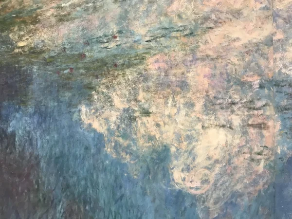 monet lily detail 4.jpg