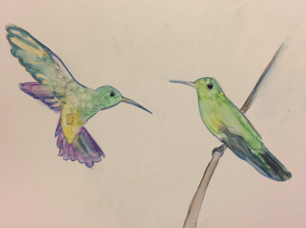 hummingbird watercolor artist becky jewell.png
