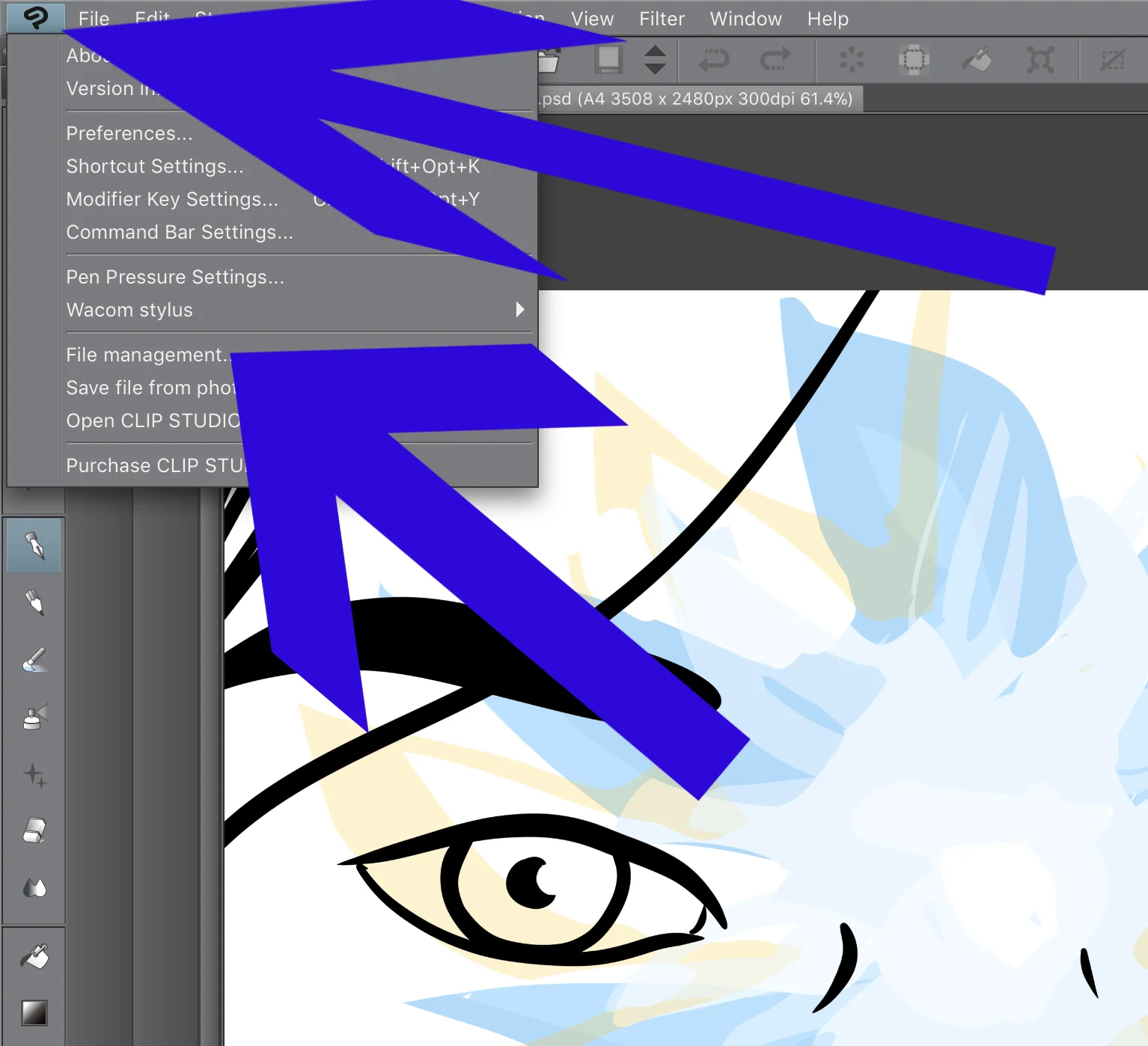 Can You Use Clip Studio Paint On Ipad – RYSE