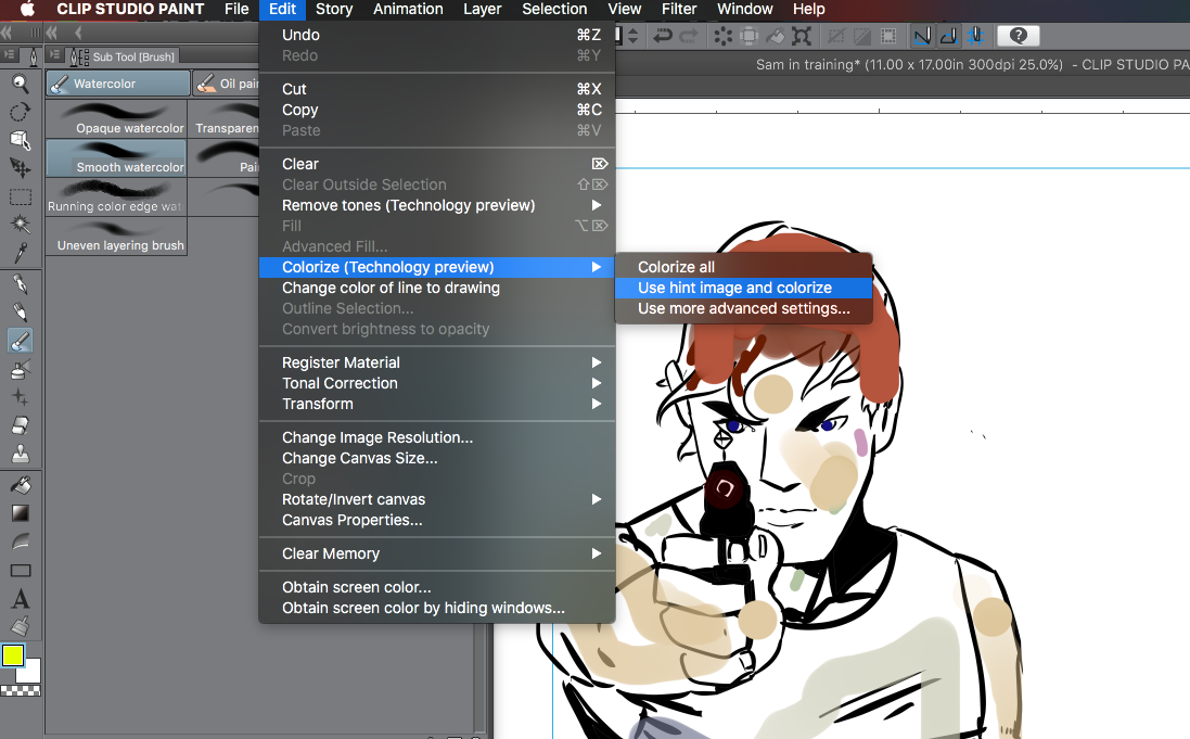 Clip Studio Paint  Colorize feature — Becky Jewell