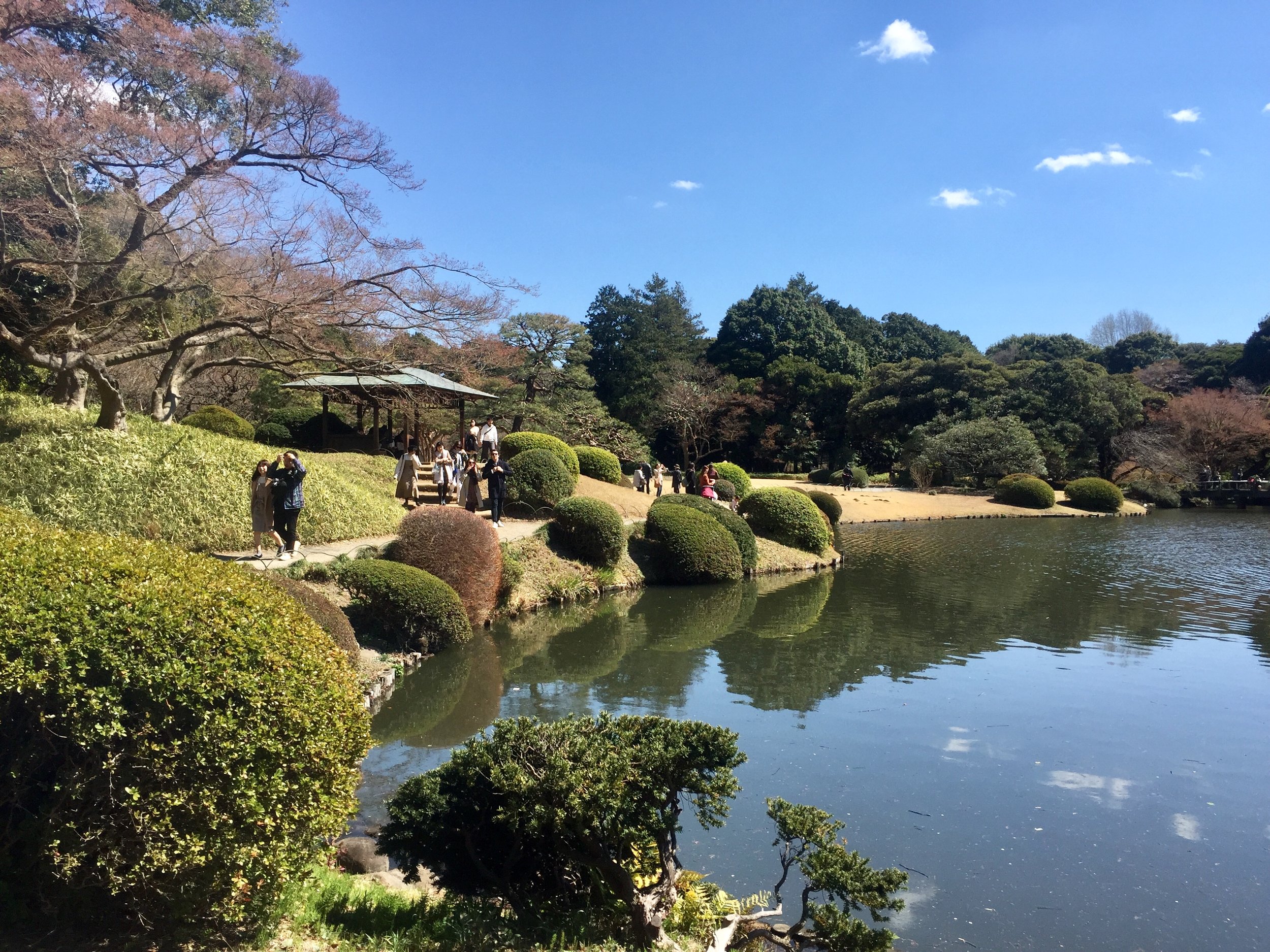 A bridge from island to island over a koi pond feels like a painting out of a fantasy map.