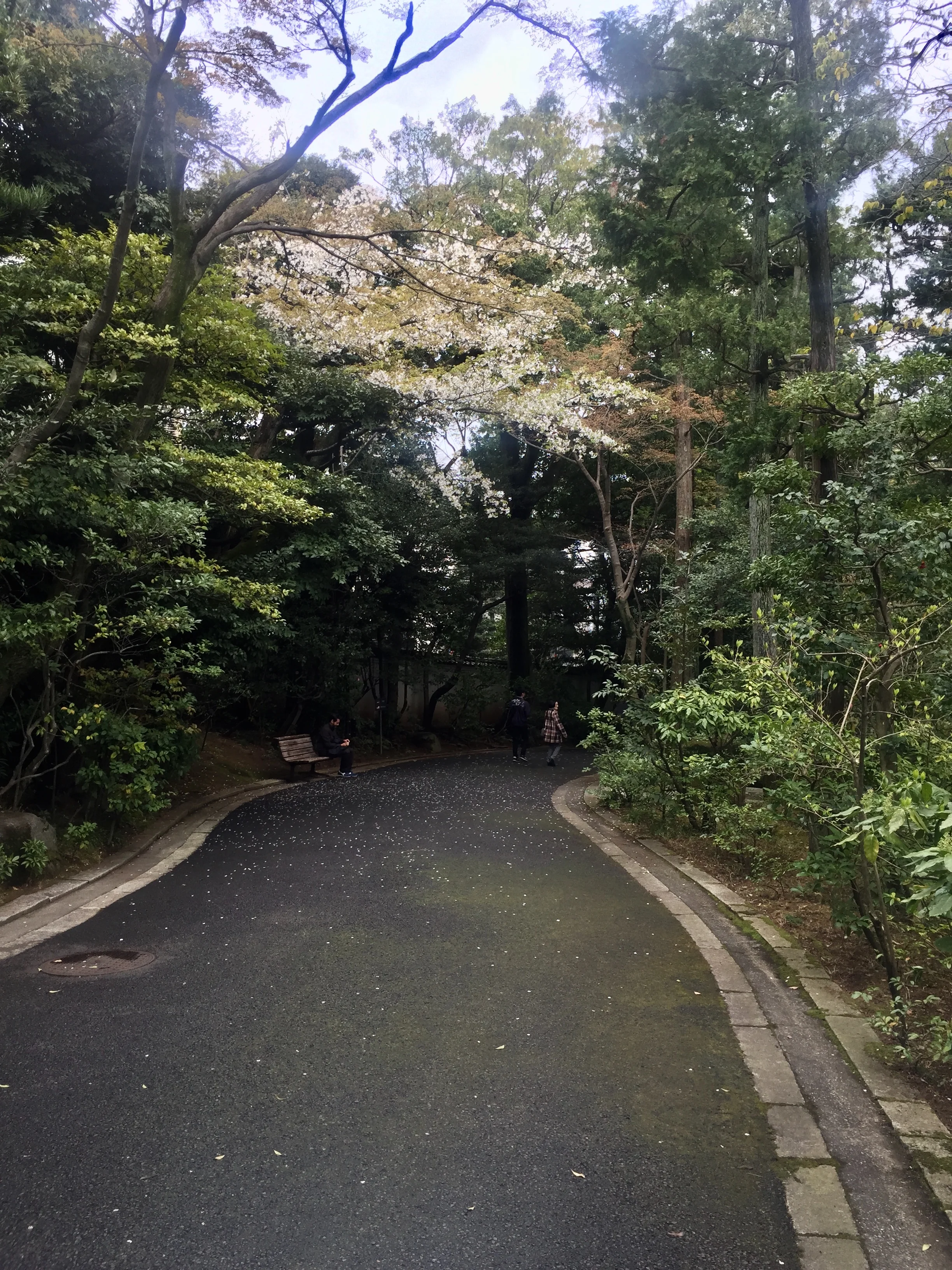 nezu garden path ginza.jpg