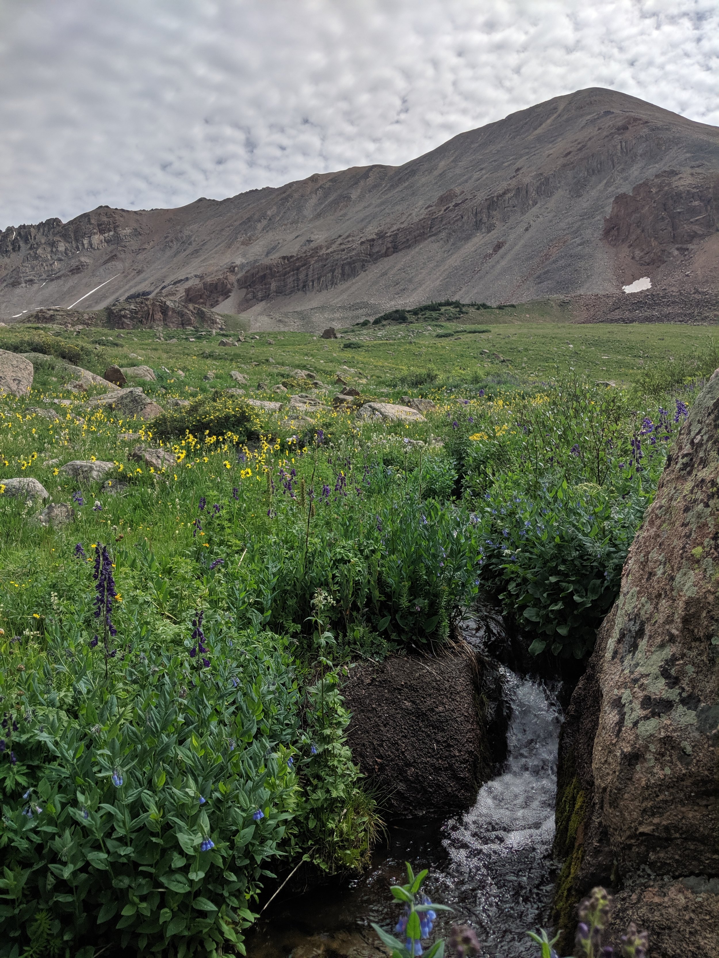 alpine creek mt sherman leadville colorado becky jewell.jpg