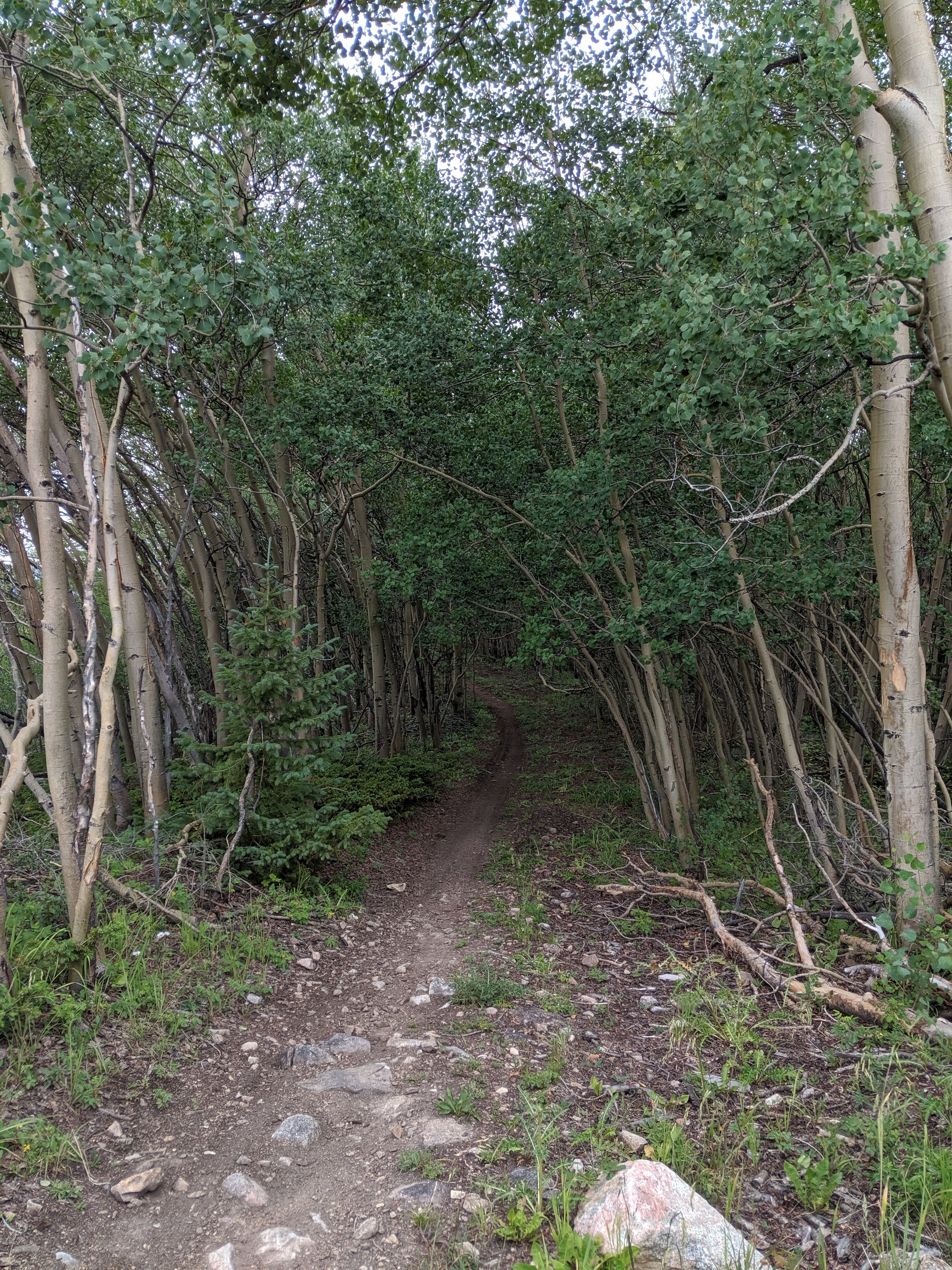 blue trails leadville colorado.jpg