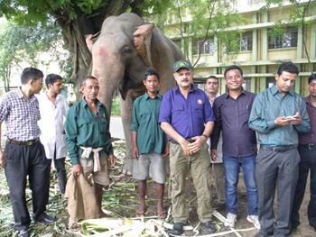 Mahouts with their new uniforms