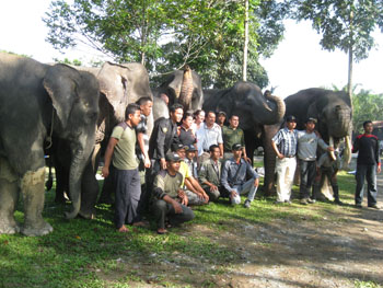 Workshop participants posting with the elephants.