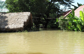 Elephantstay team hut