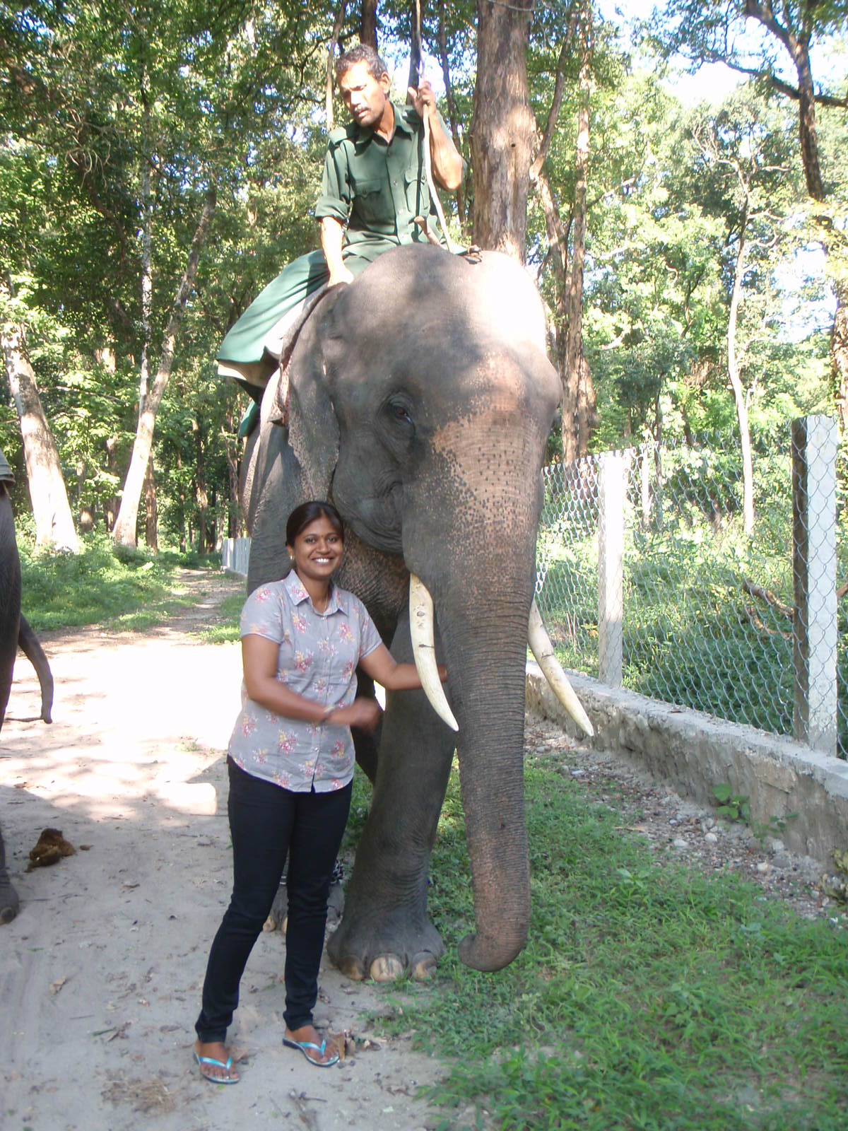 Mamatha