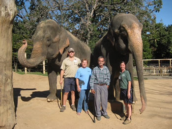 Justin Smith, Linda Reifschneider, Richard Lair and Jenni Bowman with elephants Jewell and Zina at the Little Rock Zoo