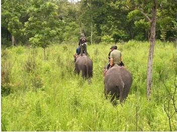 CRU Patrolling Way Kambas boundaries