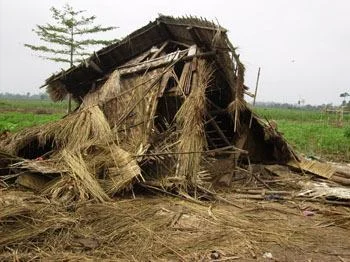 Home destroyed by wild elephants in Way Kambas