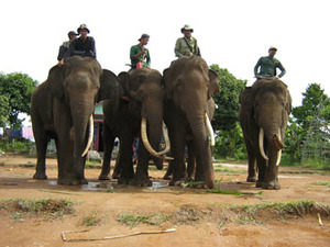 CRU mahouts and their charges