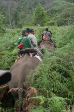 CRU patrolling Way Kambas boundaries