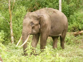 Harris in his previous location