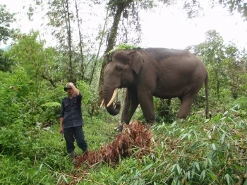 Harris with his mahout, Saparudin