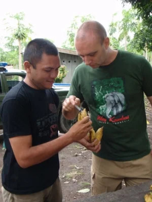Hiding dewormer in bananas!