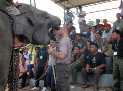 Demonstration on training elephants for a medical procedure