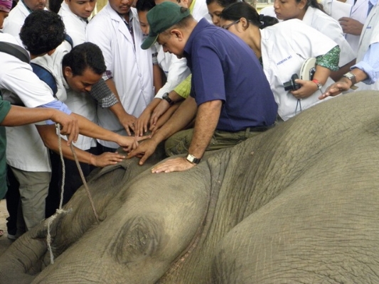 Dr. Sarma explaining a medical point to students
