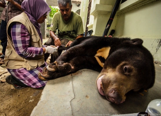 Last medical check before transport