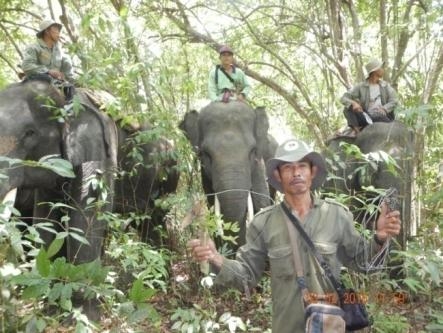 Mahout with disarmed snare