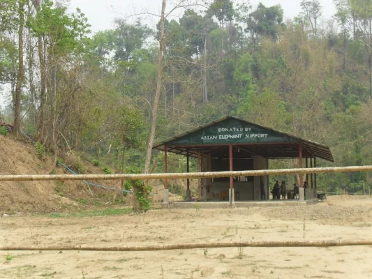 The Elephant Hospital