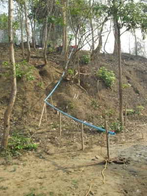 Water line to hospital