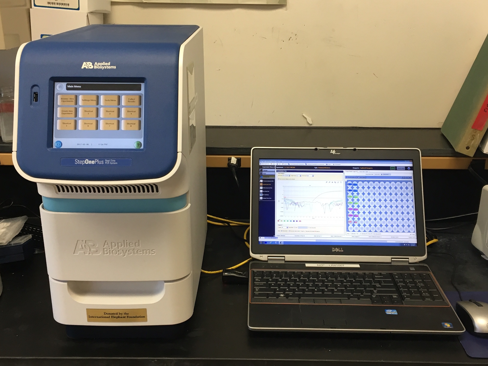 Polymerase chain reaction (qPCR) machine