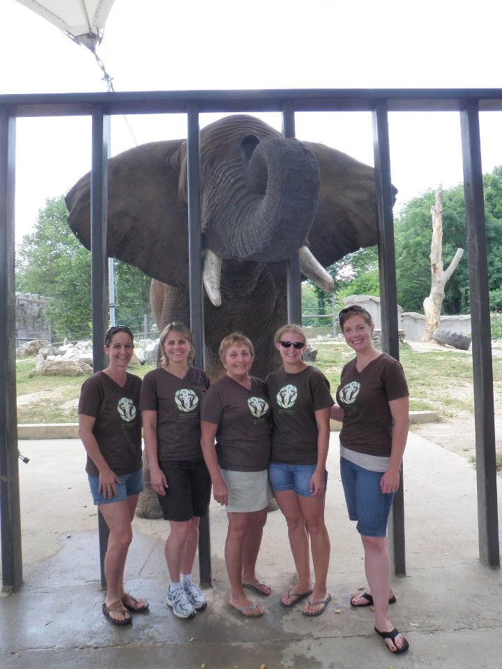 April, Sharon, Linda, Whitney (a volunteer), Gretchen, and Bud the elephant!